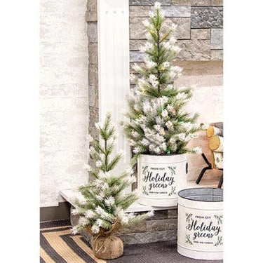 Frost Fade Pine Tree, 3ft - The Fox Decor